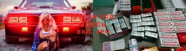 индика Абинск