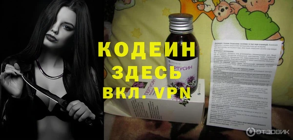 индика Абинск