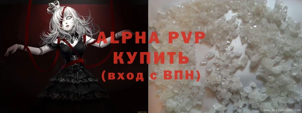индика Абинск