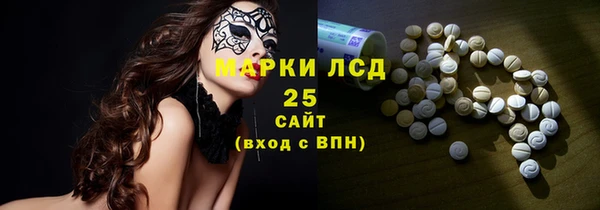 индика Абинск