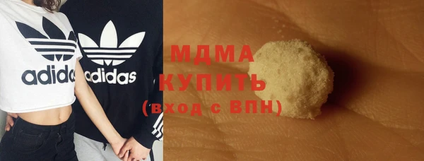 индика Абинск