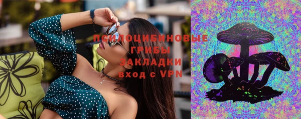 амф Абаза
