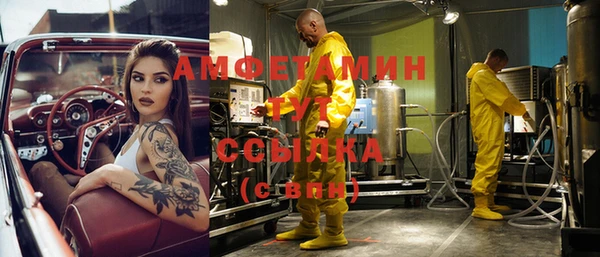 индика Абинск