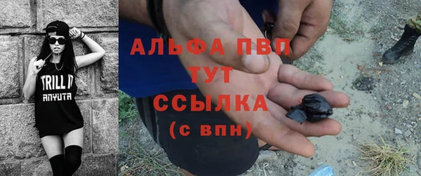 индика Абинск